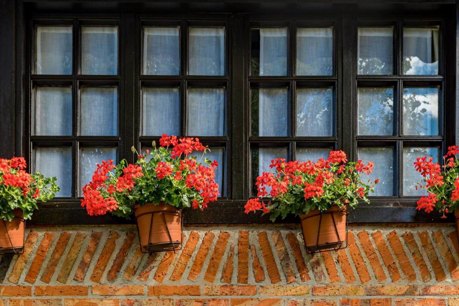 La Posada De Langre Langre  Buitenkant foto